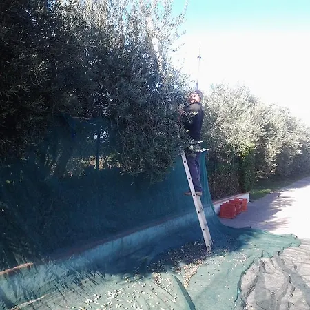 Il Giardino Di Mavi