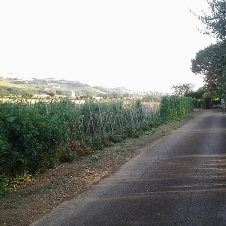 Séjour à la ferme Il Giardino Di Mavi SantʼElpidio a Mare