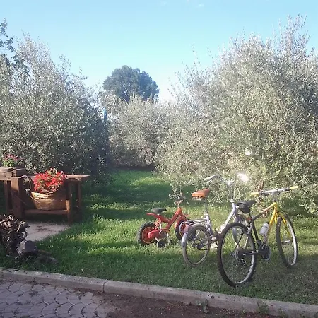 Il Giardino Di Mavi