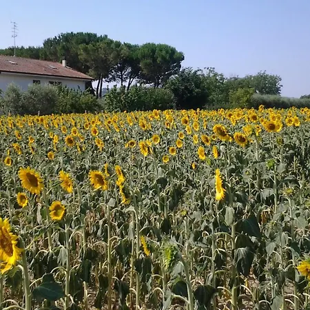 Alloggio per agriturismo Il Giardino Di Mavi *