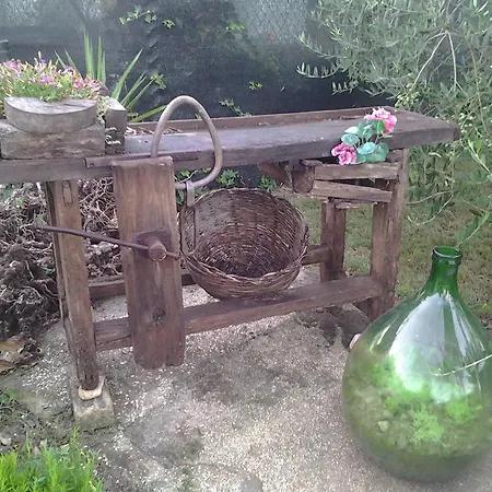 Il Giardino Di Mavi SantʼElpidio a Mare